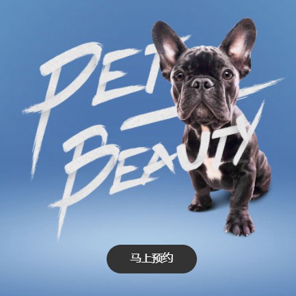 榆阳宠物中心小程序开发