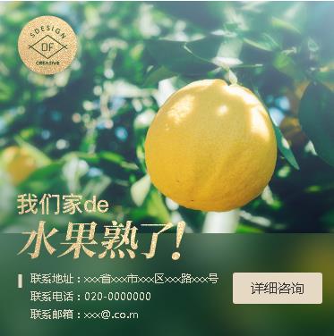 榆阳果园果林小程序开发